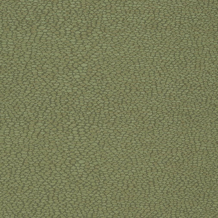 D898 Pebble/Sage by Charlotte Designer Fabric Durables III 100% Woven Polyester Made In USA Exceeds 100,000 Wyzenbeek Rubs (Heavy Duty) </p><p>Repeat: 54 Inches - Swanky Fabrics -