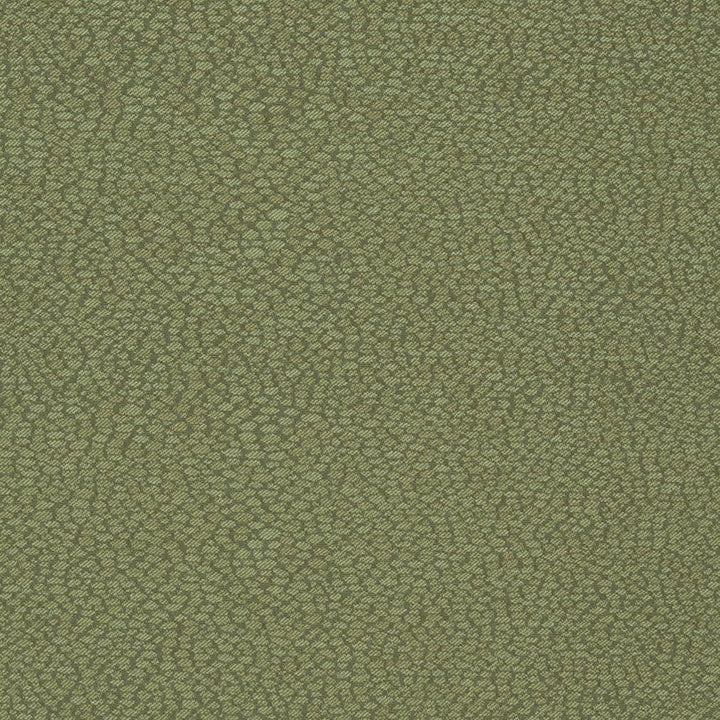 D898 Pebble/Sage by Charlotte Fabric Durables III 100% Woven Polyester Made In USA Exceeds 100,000 Wyzenbeek Rubs (Heavy Duty) No Repeat 54 Inches - Fabric Carolina -