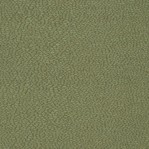 D898 Pebble/Sage by Charlotte Fabric