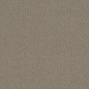 D900 Pebble/Slate by Charlotte Fabric