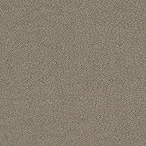 D900 Pebble/Slate by Charlotte Fabric