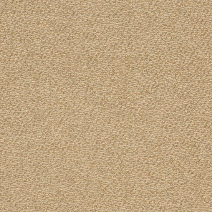 D902 Pebble/Taupe by Charlotte Designer Fabric Durables III 100% Woven Polyester Made In USA Exceeds 100,000 Wyzenbeek Rubs (Heavy Duty) No Repeat 54 Inches - Swanky Fabrics -
