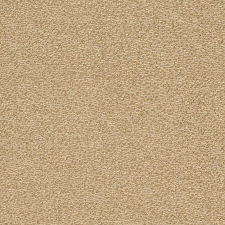 D902 Pebble/Taupe by Charlotte Fabric Durables III 100% Woven Polyester Made In USA Exceeds 100,000 Wyzenbeek Rubs (Heavy Duty) No Repeat 54 Inches - Fabric Carolina -