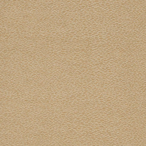 D902 Pebble/Taupe by Charlotte Fabric