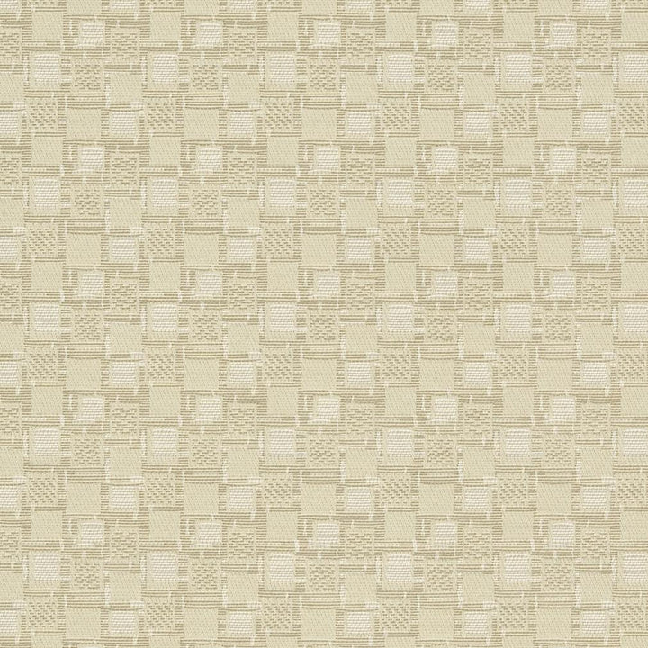 D923 Squares/Canvas by Charlotte Fabric Durables III 100% Woven Polyester Made In USA Exceeds 100,000 Wyzenbeek Rubs (Heavy Duty) Horizontal 1.75" x Vertical 1.75" 54 Inches - Fabric Carolina -