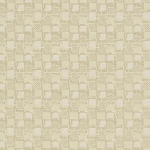 D923 Squares/Canvas by Charlotte Fabric