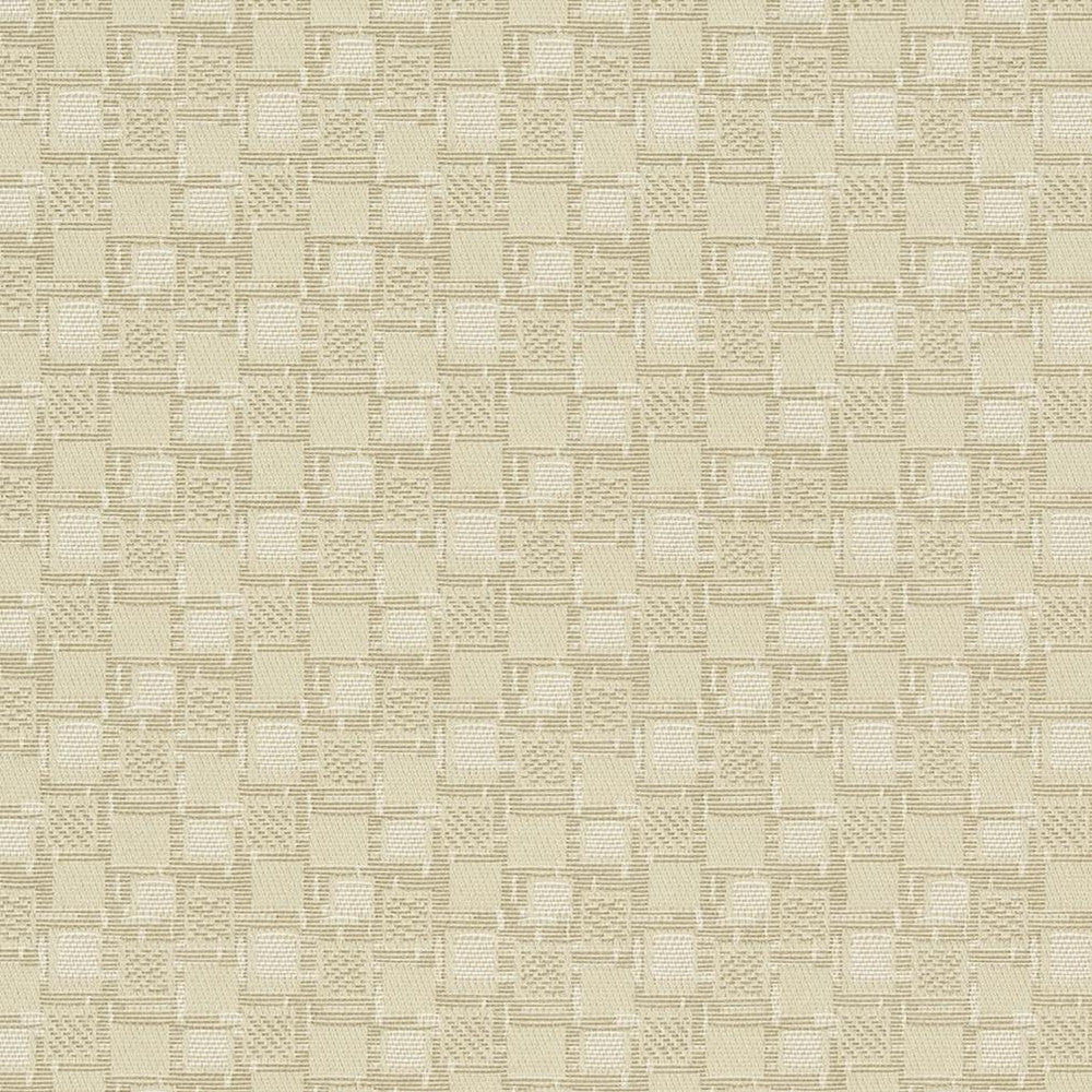 D923 Squares/Canvas by Charlotte Fabric Durables III 100% Woven Polyester Made In USA Exceeds 100,000 Wyzenbeek Rubs (Heavy Duty) Horizontal 1.75" x Vertical 1.75" 54 Inches - Fabric Carolina -