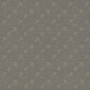 D924 Squares/Flannel by Charlotte Fabric