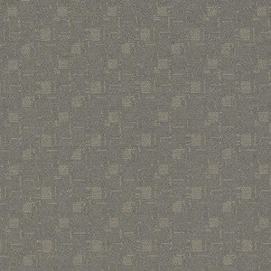 D924 Squares/Flannel by Charlotte Fabric