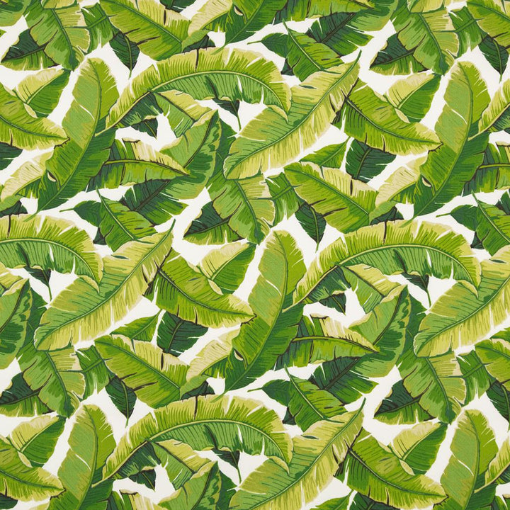 D948 Palm by Charlotte Fabric Prints & Wovens 100% Acrylic Asia Exceeds 30,000 Wyzenbeek Rubs (Heavy Duty) Horizontal 26.5" x Vertical 25" 54 Inches - Fabric Carolina -