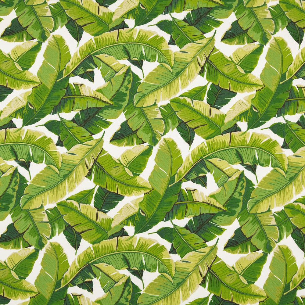 D948 Palm by Charlotte Fabric Prints & Wovens 100% Acrylic Asia Exceeds 30,000 Wyzenbeek Rubs (Heavy Duty) Horizontal 26.5" x Vertical 25" 54 Inches - Fabric Carolina -