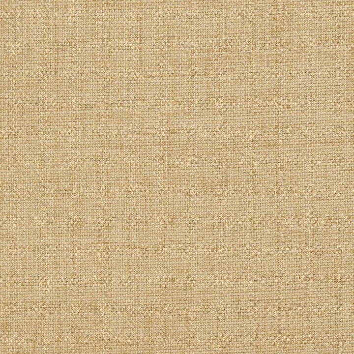 D958 Birch by Charlotte Fabric Prints & Wovens 100% Solution Dyed Woven Acrylic Made In USA Exceeds 50,000 Wyzenbeek Rubs (Heavy Duty) </p><p>Repeat: No Repeat 54 Inches - Fabric Carolina -