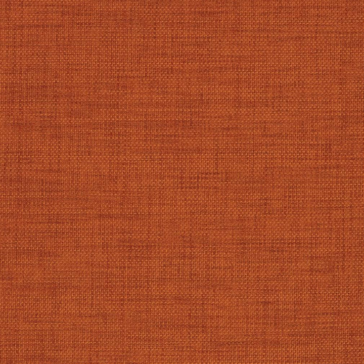 D959 Terra Cotta by Charlotte Fabric Prints & Wovens 100% Solution Dyed Woven Acrylic Made In USA Exceeds 50,000 Wyzenbeek Rubs (Heavy Duty) No Repeat 54 Inches - Fabric Carolina -