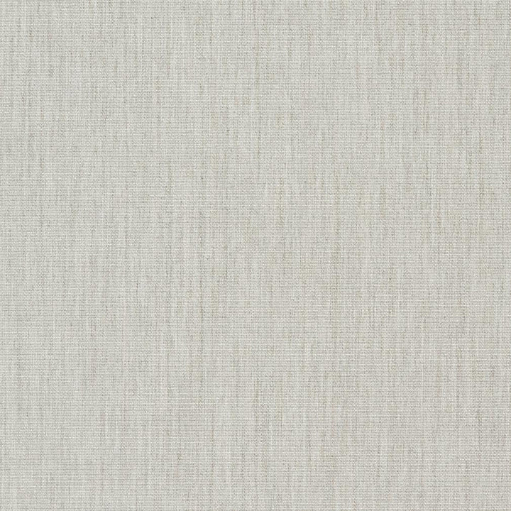 D977 Mineral by Charlotte Designer Fabric Prints & Wovens 100% Solution Dyed Woven Acrylic Italy Exceeds 25,000 Wyzenbeek Rubs (Heavy Duty) No Repeat 54 Inches - Swanky Fabrics -