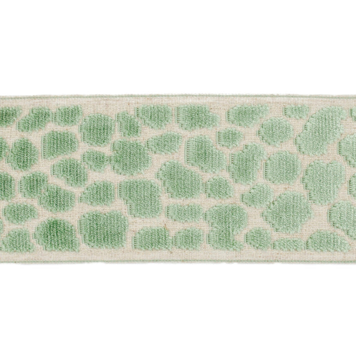Alpas Caribbean Green by Europatex Fabric Alpas 100% Polyester 3.50 inches - Fabric Carolina -
