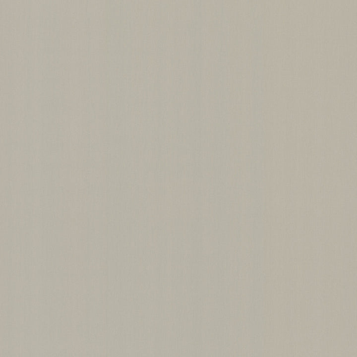 Radiant Juniper Beige Wallpaper by York Wallcoverings Artisan Digest Covers about 65 square feet 26-in by 30-ft long roll Prepasted 0 - Fabric Carolina -