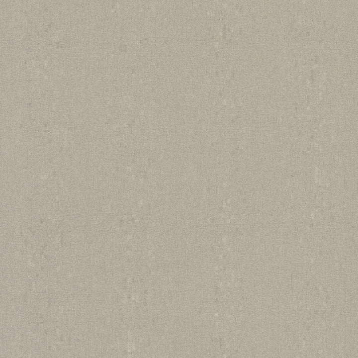 Gypsy Weave Fossil Wallpaper by Carol Benson-Cobb Carol Benson-Cobb Signature Covers about 65 square feet 26-in by 30-ft long roll Unpasted 0 - Fabric Carolina -