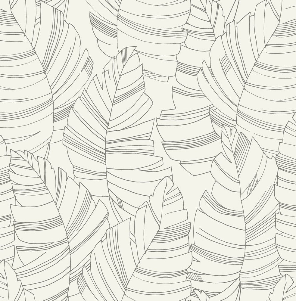 Jungle Leaves Charcoal by Seabrook Wallpaper Day Dreamers United States 56.12 20.87" 20.5" - Fabric Carolina -