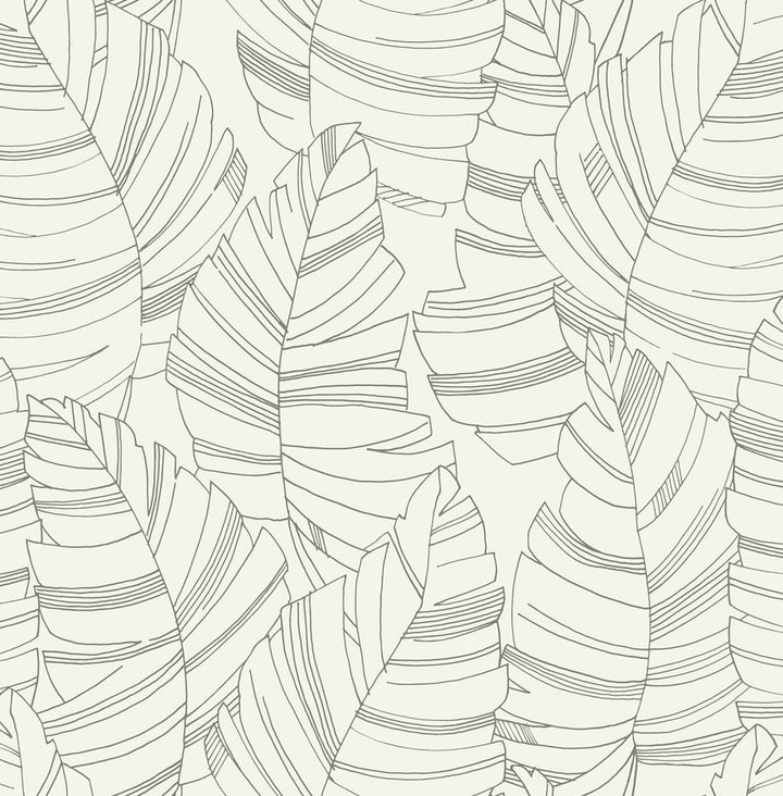 Jungle Leaves Charcoal by Seabrook Wallpaper Day Dreamers United States 56.12 20.87" 20.5" - Fabric Carolina -