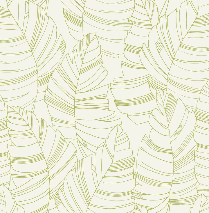 Jungle Leaves Green Apple by Seabrook Wallpaper Day Dreamers United States 56.12 20.87" 20.5" - Fabric Carolina -