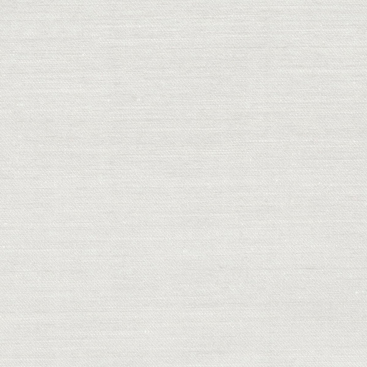 Dahill 2 Platinum by Stout Fabric COLOR MY WINDOW ASH/SMOKE 87%SVI 13%POL INDIA WYZENBEEK 50 000 DOUBLE RUB WEAR TEST (HEAVY DUTY) Horizontal: 0 and Vertical: 0 54 in - Fabric Carolina -