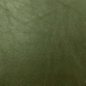 Dakar Cactus by Norbar Fabric DAKAR 100% PVC CHINA 54 - Fabric Carolina -