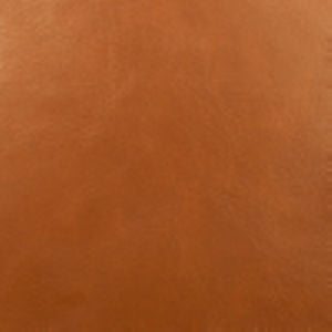 Dakar Spice by Norbar Fabric