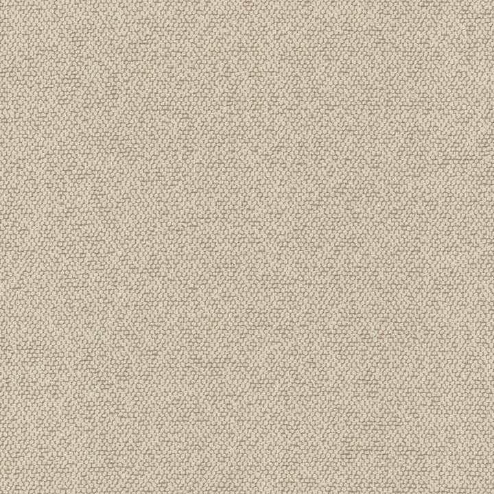 Dalin 1 Maple by Stout Fabric CLOUD NINE 100%POL CHINA Horizontal: 0.000 and Vertical: 0.000 54 in - Fabric Carolina -