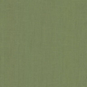 Dandy Green Tea by Norbar Fabric