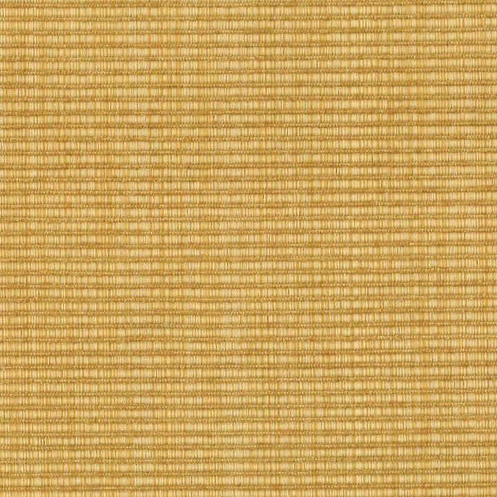 Danore 1 Harvest by Stout Fabric RAINBOW LIBRARY HONEY/CHARDONNAY 51%COT 30%POL 19%SVI CHINA FLAME RETARDANT-U.F.A.C. CLASS 1 WYZENBEEK 60 000 DOUBLE RUB WEAR TEST (HEAVY DUTY) </p><p>Repeat: 0 58 in - Fabric Carolina -