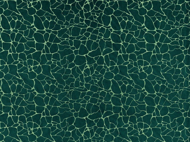 Dare Laguna 59 by Covington Fabric 100% POLYESTER CHN 92000 Horizontal: 26.75 and Vertical: 15.25 54 - Fabric Carolina -