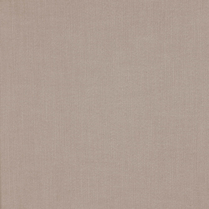 Daring 31J7391 by JF Fabric Winning Weaves VII- Wovens - Faux Suede Book 100% Polyester China 200000 Horizontal: and Vertical: 56 - Fabric Carolina -