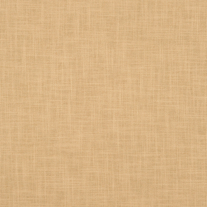 Darjeeling 33J7141 by JF Fabric Darjeeling Book 79% Cotton, 21% Polyester India 15000 Horizontal: and Vertical: 55 - Fabric Carolina -