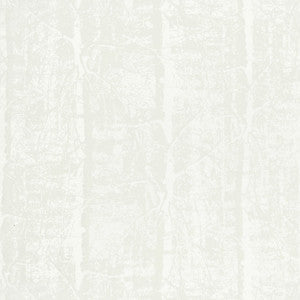 Darwin 2 Chalk by Stout Fabric