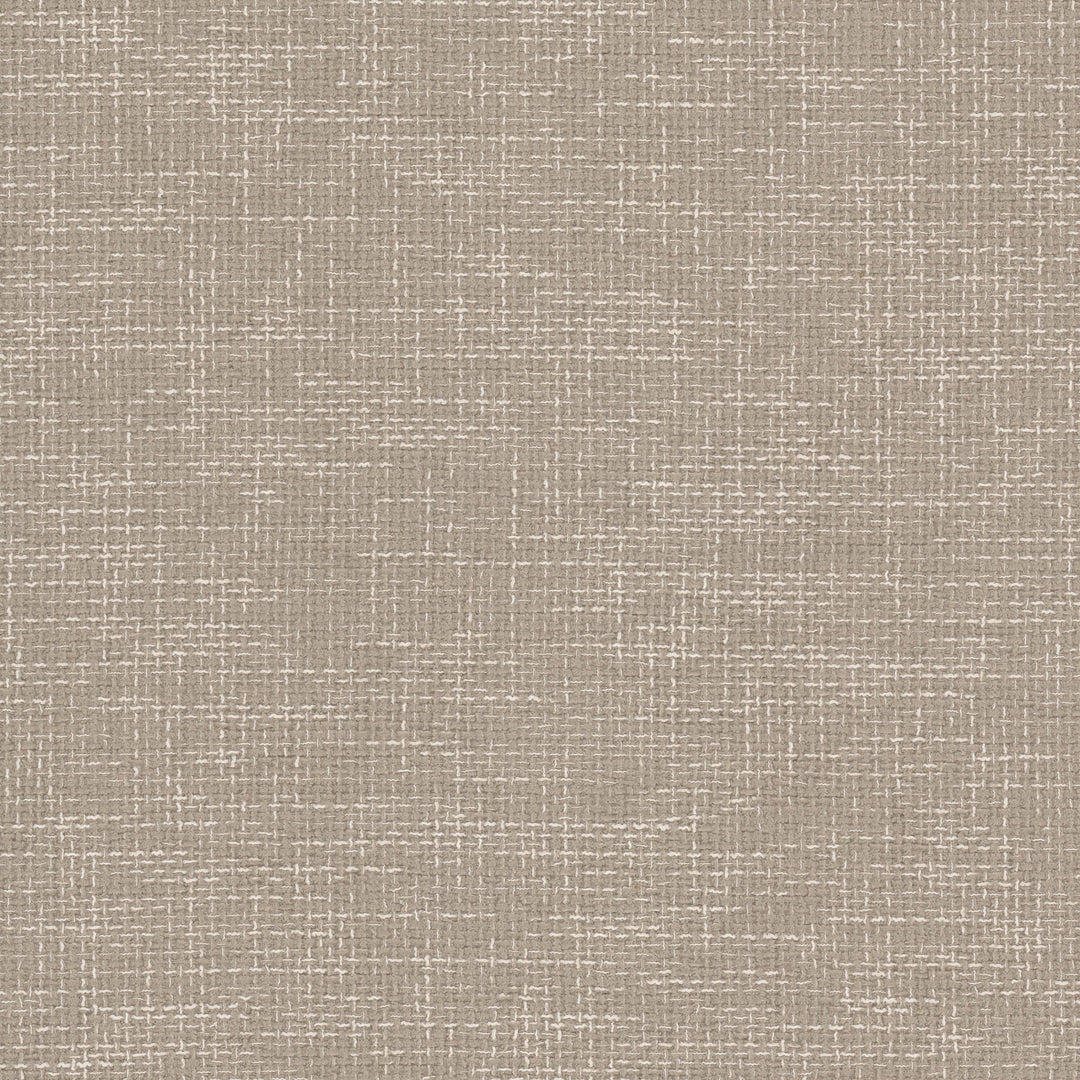 Daze 1 Sandune by Stout Designer Fabric
