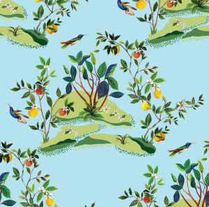 Citrus Hummingbird Sky Blue by Seabrook Wallpaper