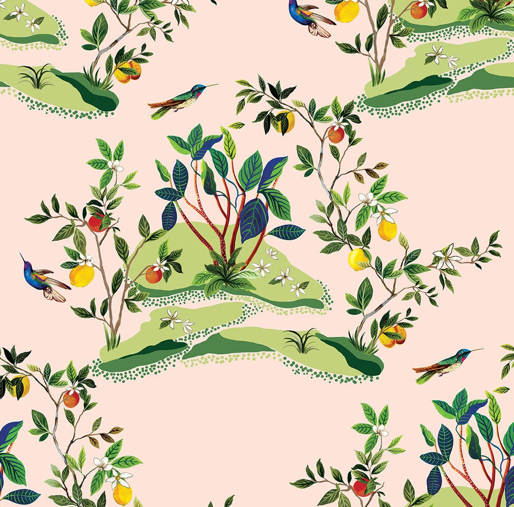 Citrus Hummingbird Blush by Seabrook Wallpaper West Boulevard Collection United States 60.75 27" 27" - Fabric Carolina -