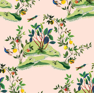 Citrus Hummingbird Blush by Seabrook Wallpaper