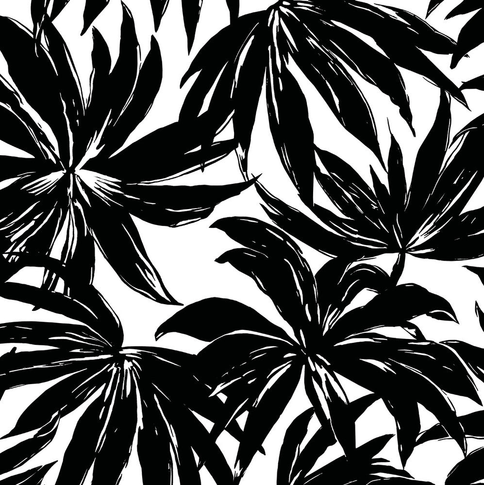 Palma Black by Seabrook Wallpaper West Boulevard Collection United States 56 20.87" 20.5" - Fabric Carolina -