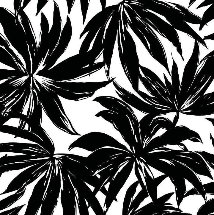 Palma Black by Seabrook Wallpaper West Boulevard Collection United States 56 20.87" 20.5" - Fabric Carolina -