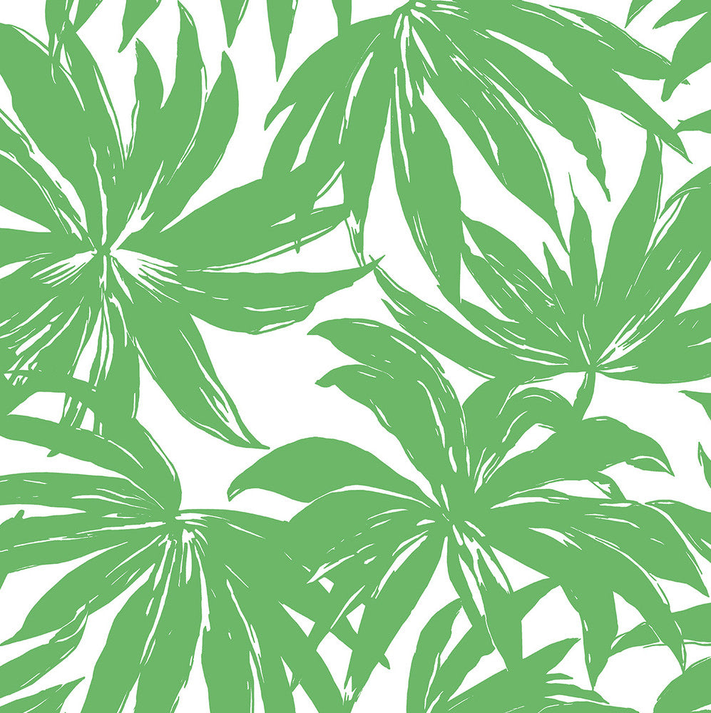 Palma Green by Seabrook Wallpaper West Boulevard Collection United States 56 20.87" 20.5" - Fabric Carolina -