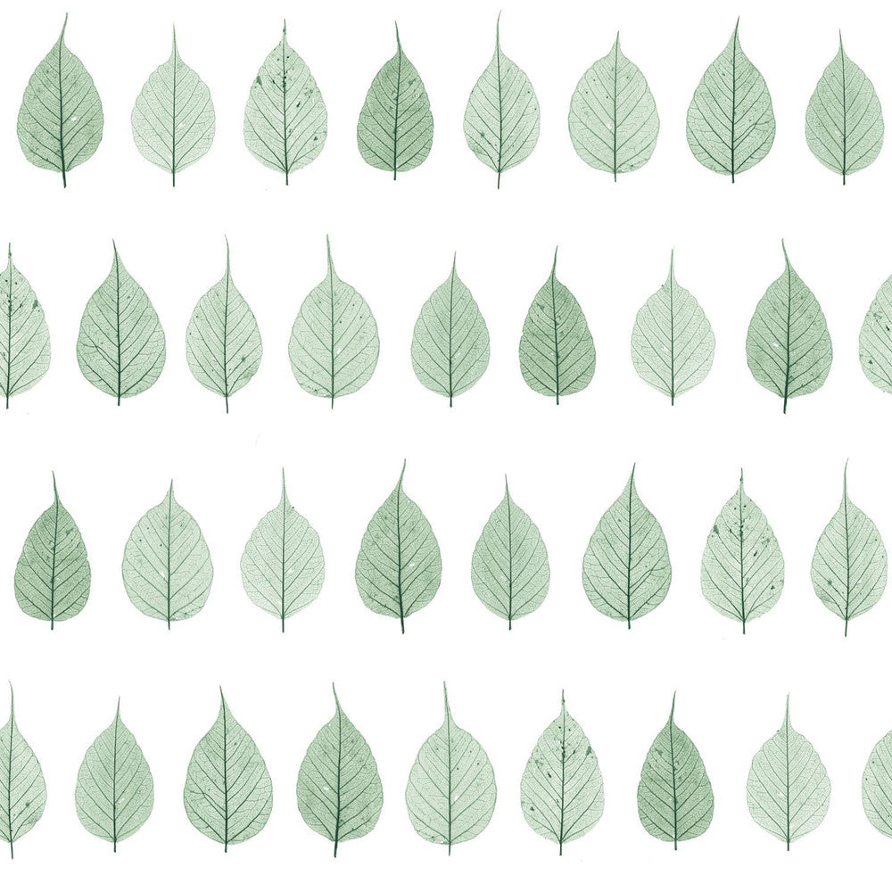 Greenhouse Green Leaves Wallpaper by ESTA Home Design Department Covers about 56.4 square feet 20.5-in by 33-ft long roll Unpasted 20.9 - Fabric Carolina -