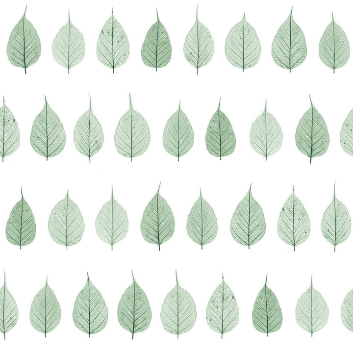Greenhouse Green Leaves Wallpaper by ESTA Home Design Department Covers about 56.4 square feet 20.5-in by 33-ft long roll Unpasted 20.9 - Fabric Carolina -