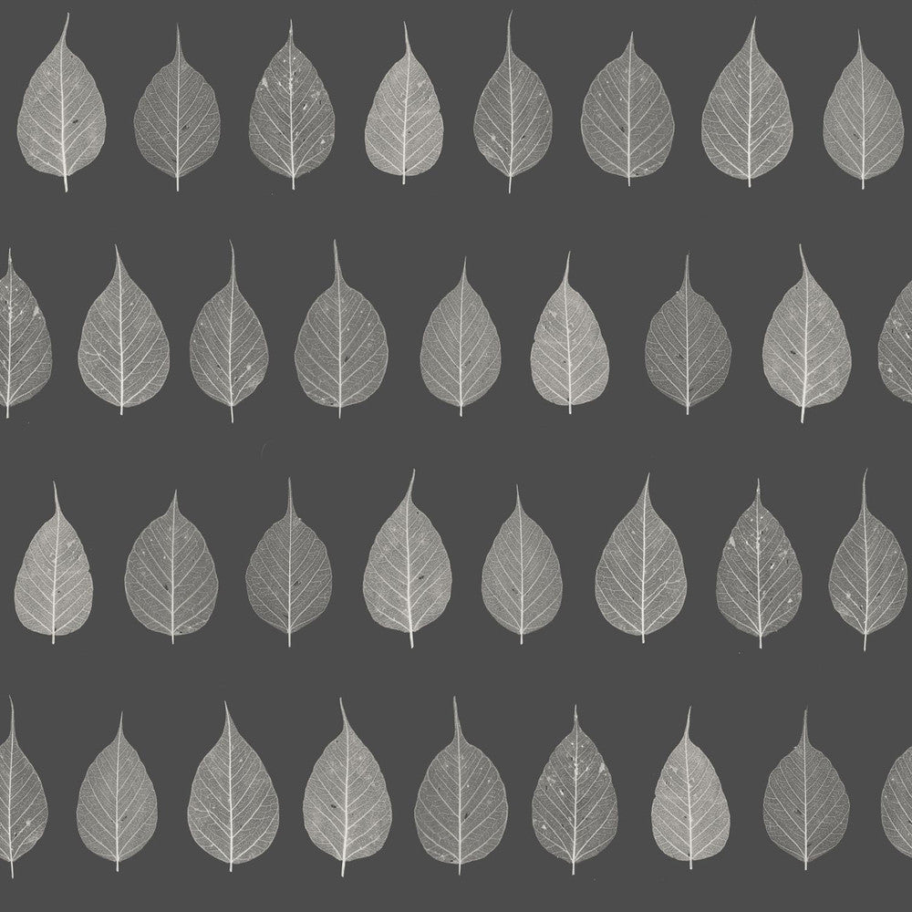 Greenhouse Charcoal Leaves Wallpaper by ESTA Home Design Department Covers about 56.4 square feet 20.5-in by 33-ft long roll Unpasted 20.9 - Fabric Carolina -