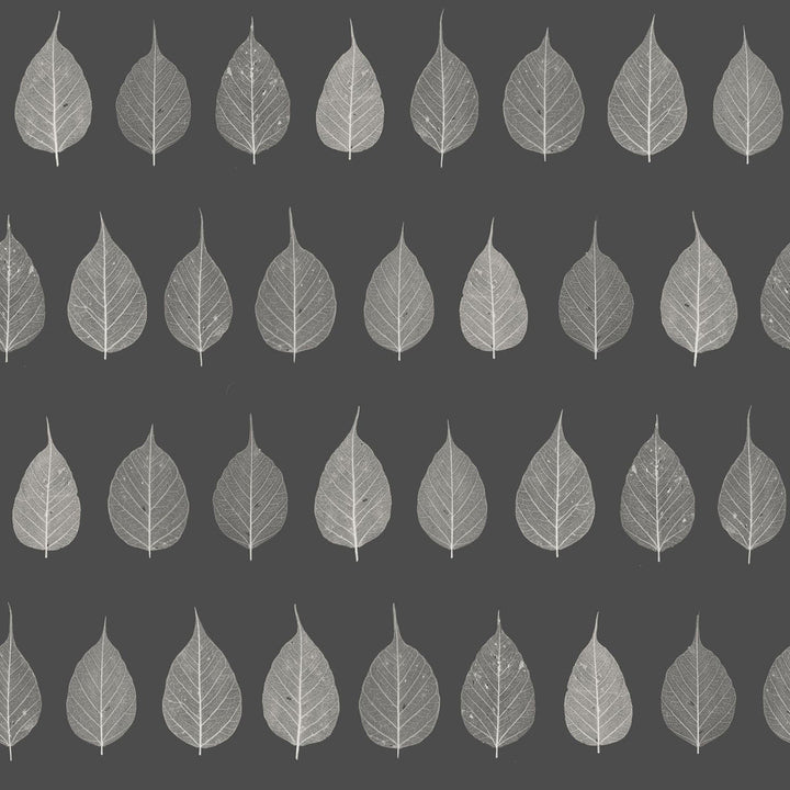 Greenhouse Charcoal Leaves Wallpaper by ESTA Home Design Department Covers about 56.4 square feet 20.5-in by 33-ft long roll Unpasted 20.9 - Fabric Carolina -