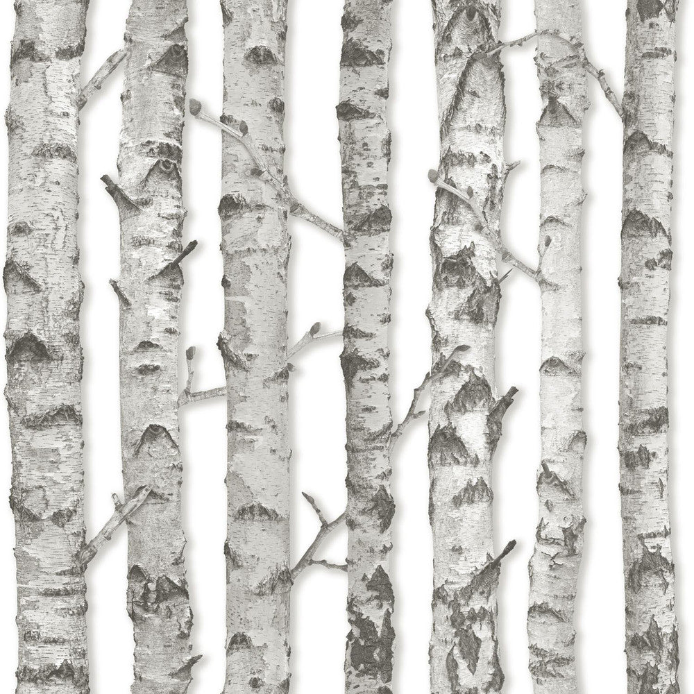 Merman Light Grey Birch Tree Wallpaper by ESTA Home Design Department Covers about 56.4 square feet 20.5-in by 33-ft long roll Unpasted 20.9 - Fabric Carolina -