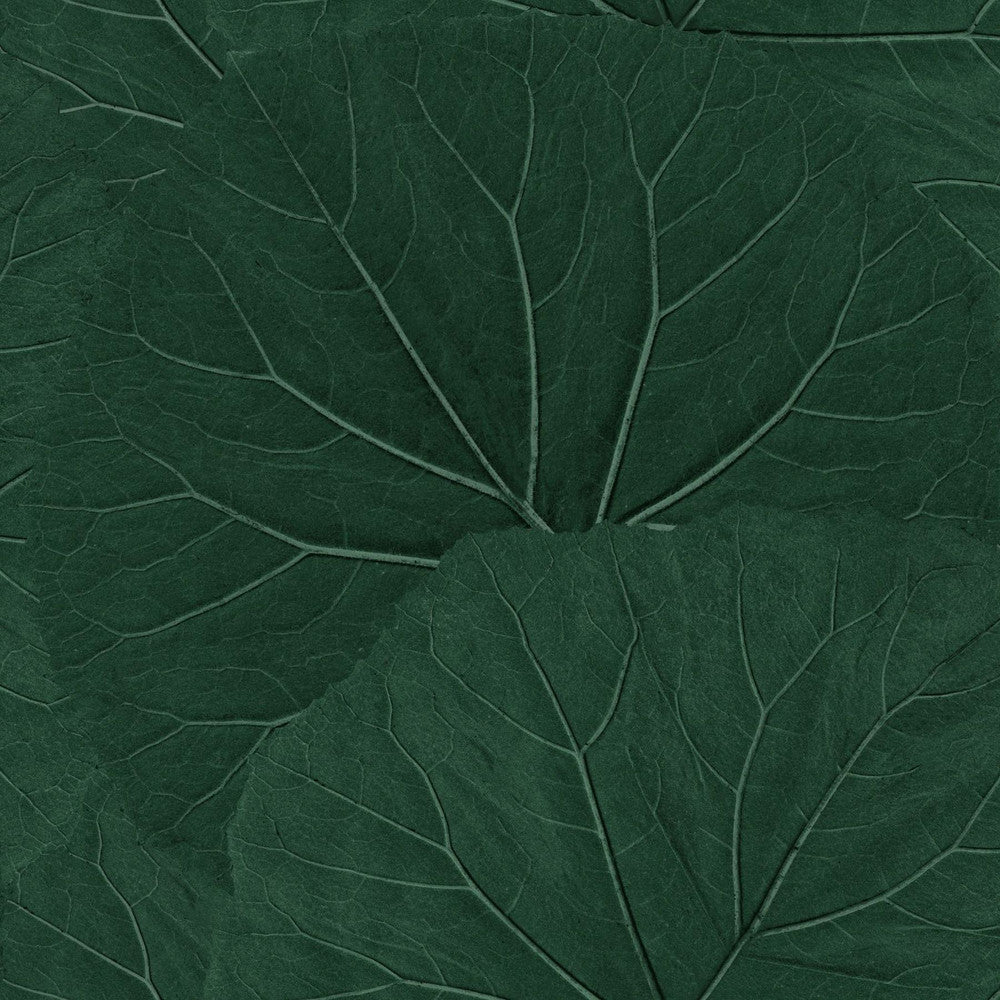 Xylem Evergreen Large Leaves Wallpaper by ESTA Home Design Department Covers about 57.5 square feet 20.9-in by 33-ft long roll Unpasted 20.9 - Fabric Carolina -