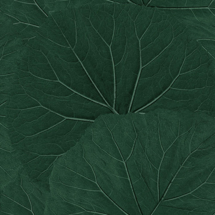 Xylem Evergreen Large Leaves Wallpaper by ESTA Home Design Department Covers about 57.5 square feet 20.9-in by 33-ft long roll Unpasted 20.9 - Fabric Carolina -