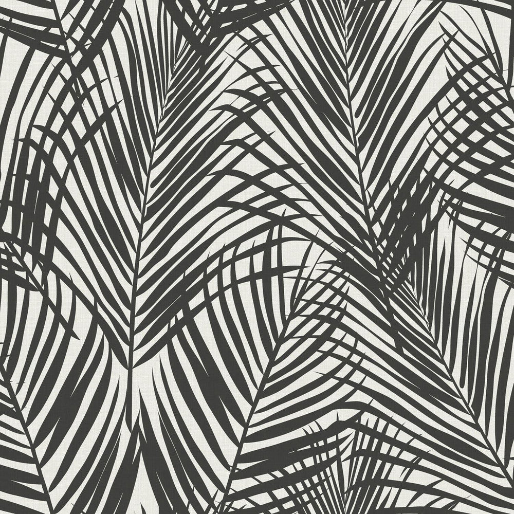 Fifi Black Palm Frond Wallpaper by ESTA Home Design Department Covers about 56.4 square feet 20.5-in by 33-ft long roll Unpasted 20.9 - Fabric Carolina -