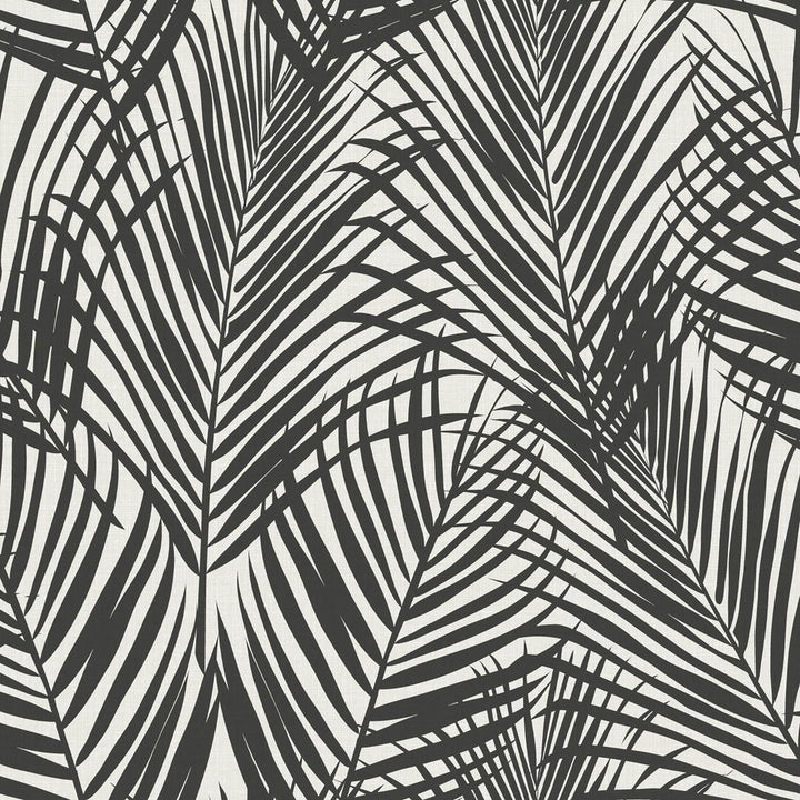 Fifi Black Palm Frond Wallpaper by ESTA Home Design Department Covers about 56.4 square feet 20.5-in by 33-ft long roll Unpasted 20.9 - Fabric Carolina -